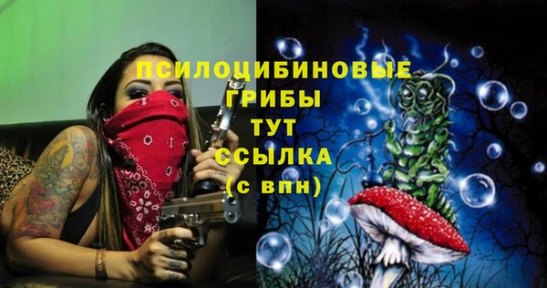 героин Инсар