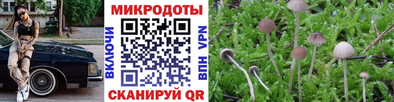 Купить закладки  Урус-Мартан  Галлюциногенные грибы Magic Shrooms 