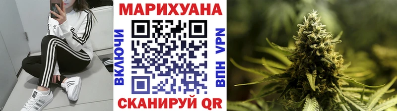 Купить где  Урус-Мартан  Канабис план 